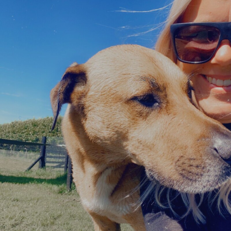 Hillary from Canine Countryside